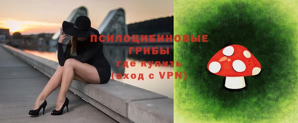 Альфа ПВП Бородино