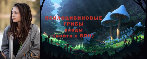 Альфа ПВП Бугульма