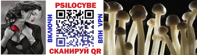 цены   Демидов  Псилоцибиновые грибы Psilocybine cubensis 